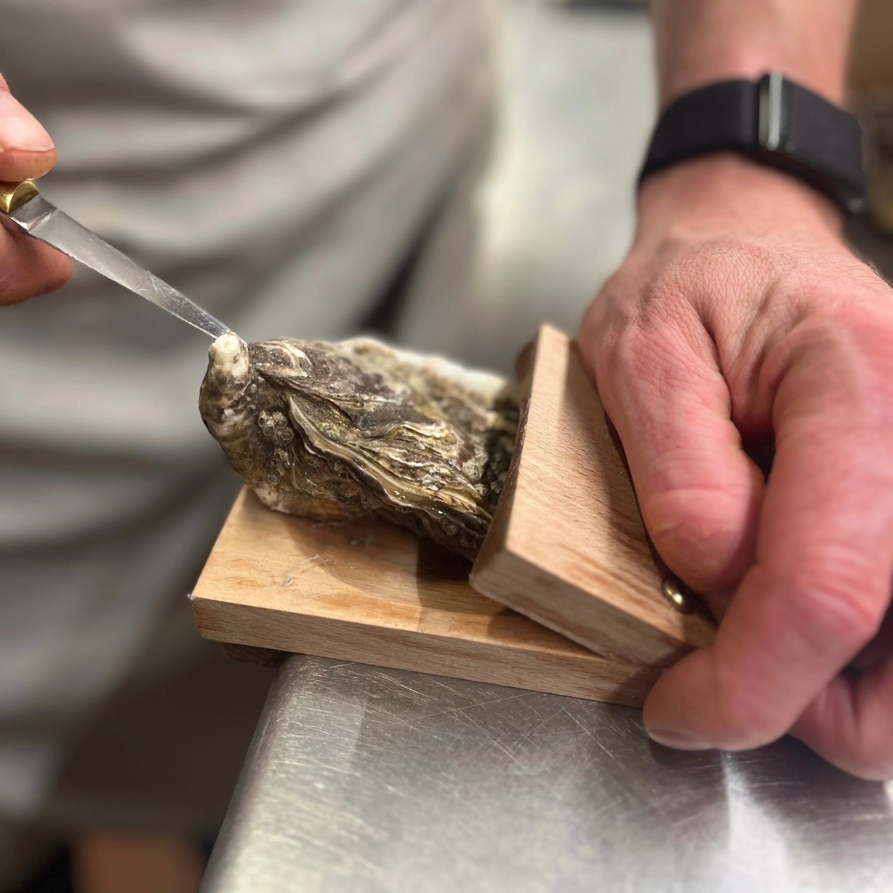 Tegooe The Oyster Clamp 20