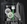 k2_plus_s12_pic4_blur.jpg