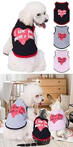 cute dog clothes