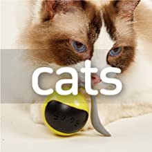 Cat Toys Interactive Toys Rolling Ball Toys Cat Wand Feather Teaser Toys Electronic Toys