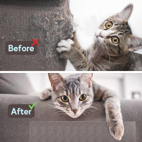 Leo's Paw Furniture Scratch Protector Before & After Cat Scratching sofa image