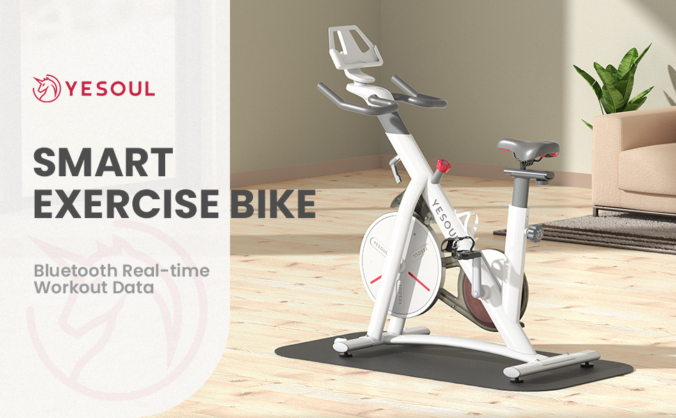 SMART EXERCISE BIKE