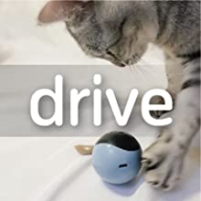 Cat Toys Interactive Toys Rolling Ball Toys Cat Wand Feather Teaser Toys Electronic Toys