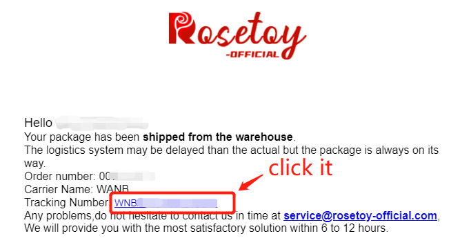 How to track order