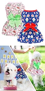 summer dog dress
