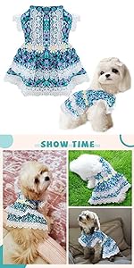 dog summer clothes