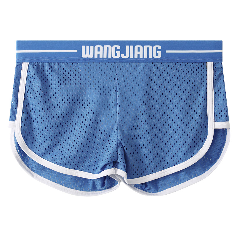 Men's Sexy Ultra-thin Breathable Mesh Lace Briefs
