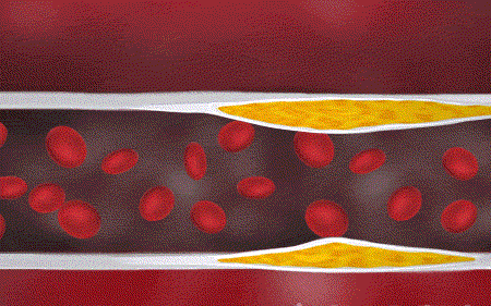 1716734517493661.gif 1712889502382768.gif