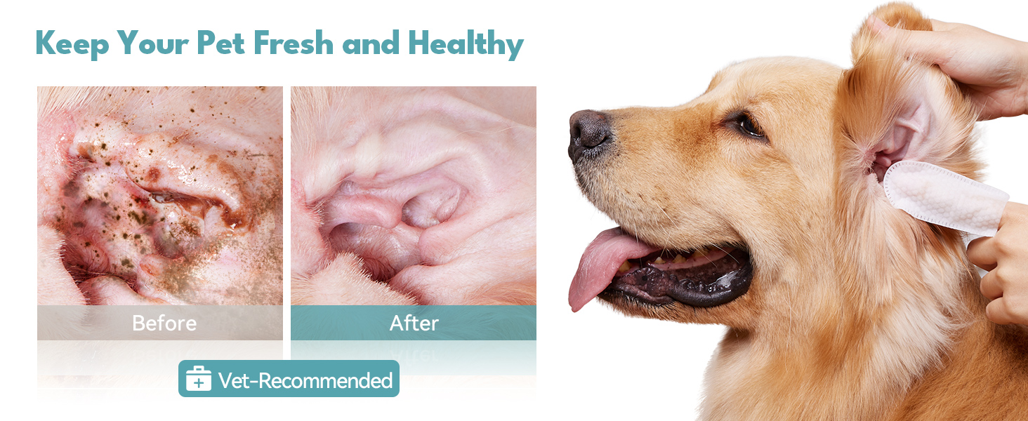 keep your pets fresh and healthy