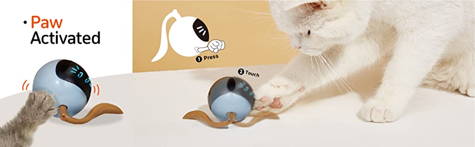 Cat Toys Interactive Toys Rolling Ball Toys Cat Wand Feather Teaser Toys Electronic Toys