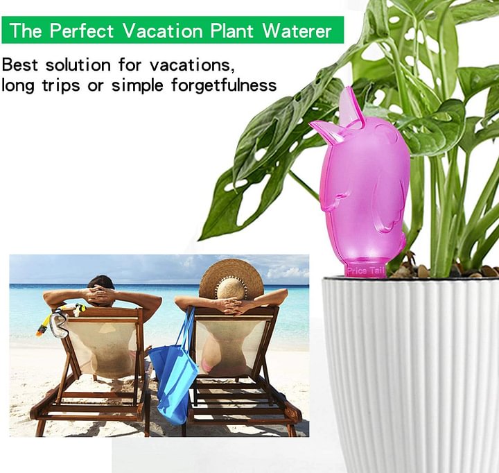 71XCYN3pLbL._AC_SL1500_