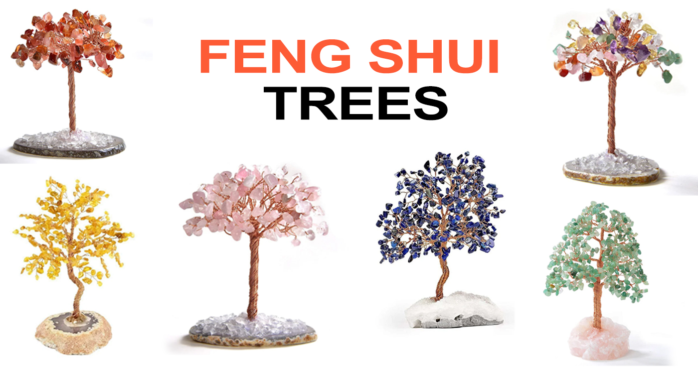 olivenorma Feng Shui Tree——Everything Your Need to Know