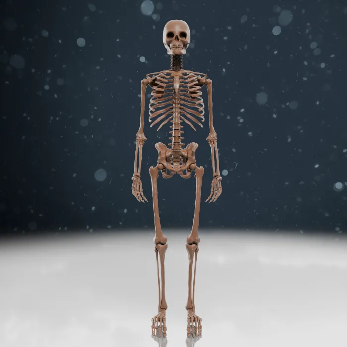 3D printed bones
