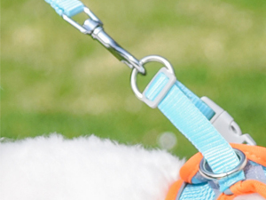 AIITLE Step in Dog Harness and Leash Set - Summer Dog Vest Harness with Super Breathable Mesh