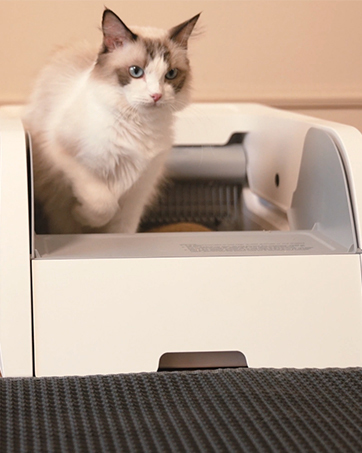 Self Cleaning Cat Litter Box