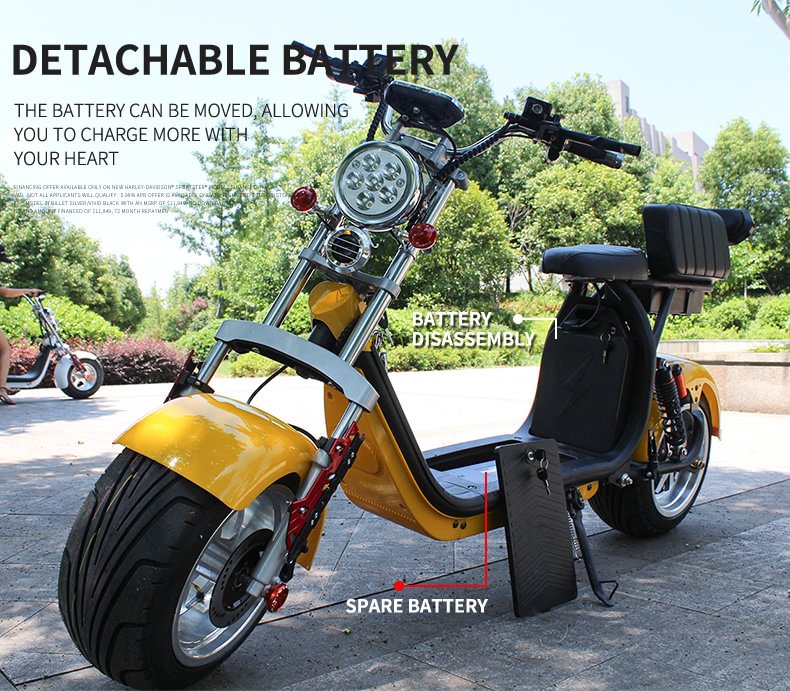 Citycoco Scooter 2 ruedas 1000w, batería de litio 60V, Citycoco eléctrico autoequilibrado 2000w / 24 / CE 2014/30 / EU CE