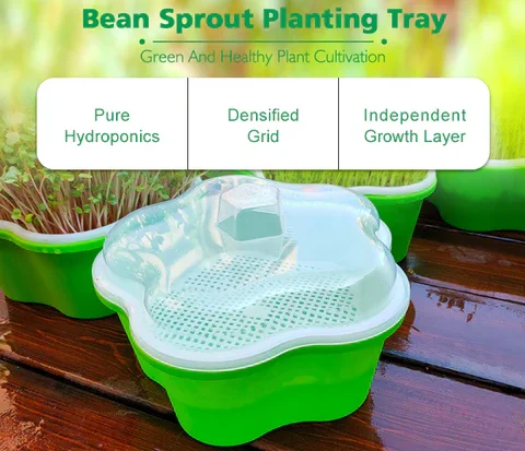 Pentagon Sprout Seed Trays