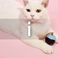 Cat Toys Interactive Toys Rolling Ball Toys Cat Wand Feather Teaser Toys Electronic Toys