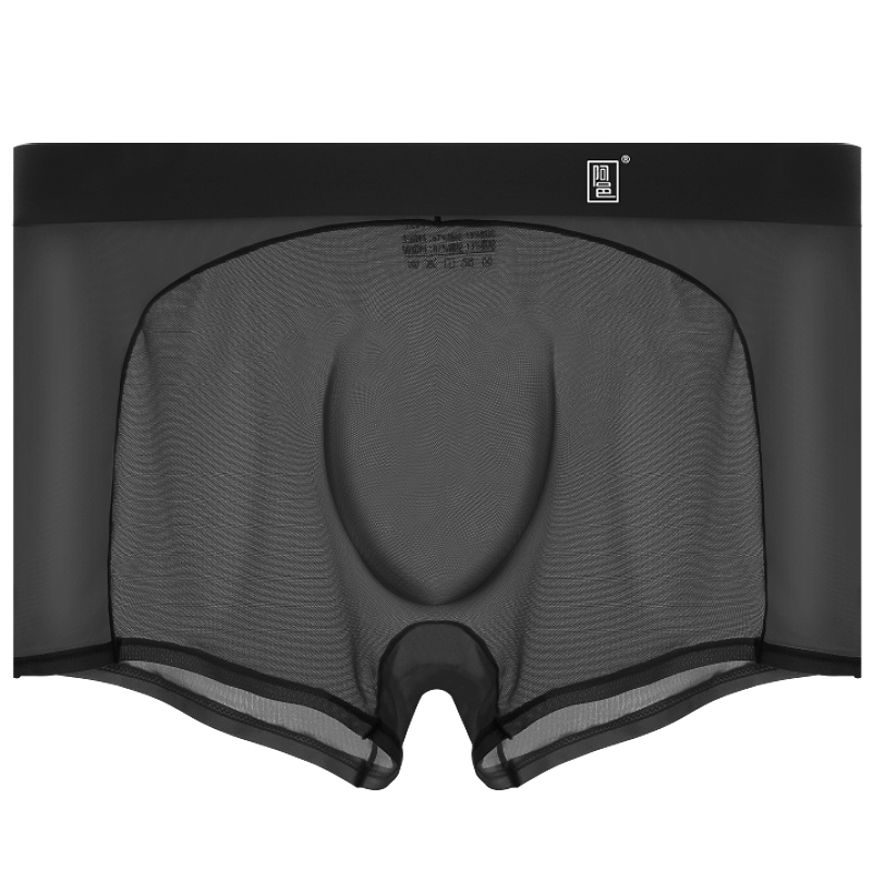 Men's Sexy Ultra-Thin Ice Silk Mesh-Panelled Transparent Boxer Briefs
