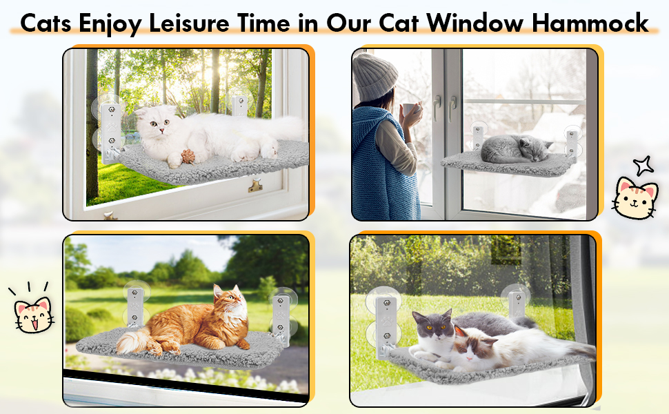 cat window perch grey
