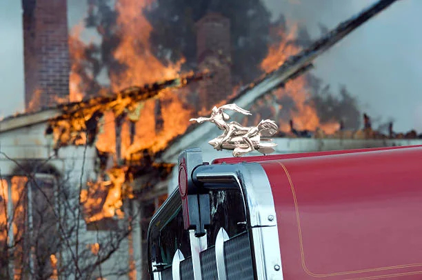 🔥New For 2023 - Wile E Coyote Hood Ornament