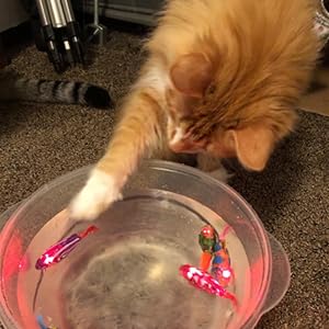 interactive cat robot fish toys
