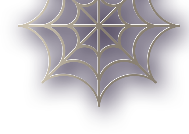 spider-wenb