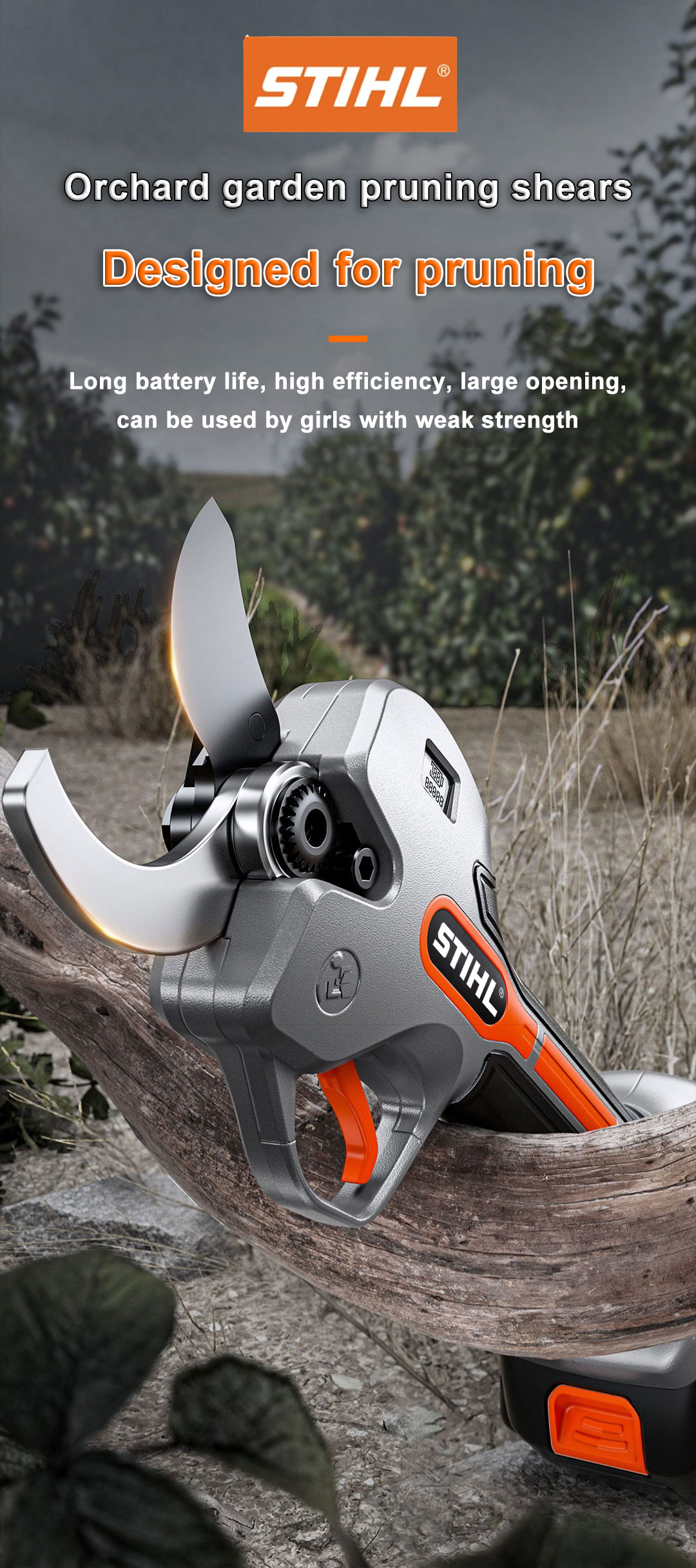 1742888564801569.jpg 02.jpg