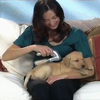 Portable Electric pet Hair Vacuum Cleaner Massager