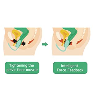 kegel ball for exercises
