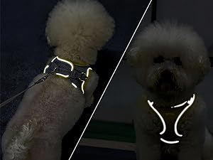 AIITLE Step in Dog Harness and Leash Set - Summer Dog Vest Harness with Super Breathable Mesh